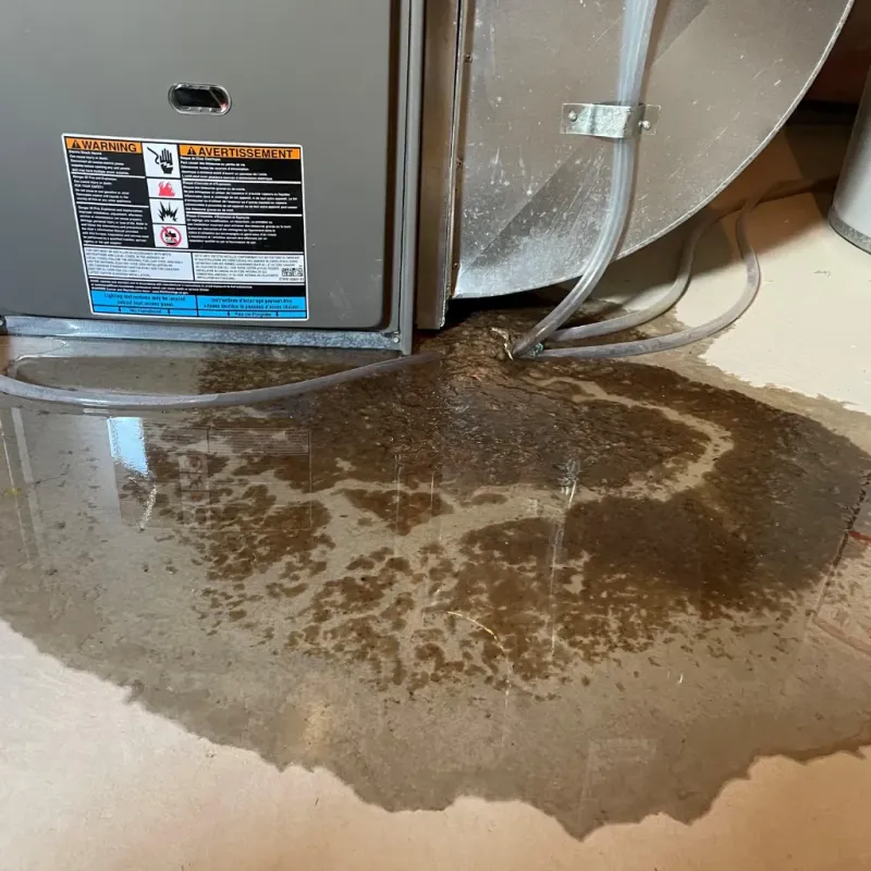 Appliance Leak Cleanup in Carolina Shores, NC